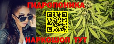 шишки Гусь-Хрустальный