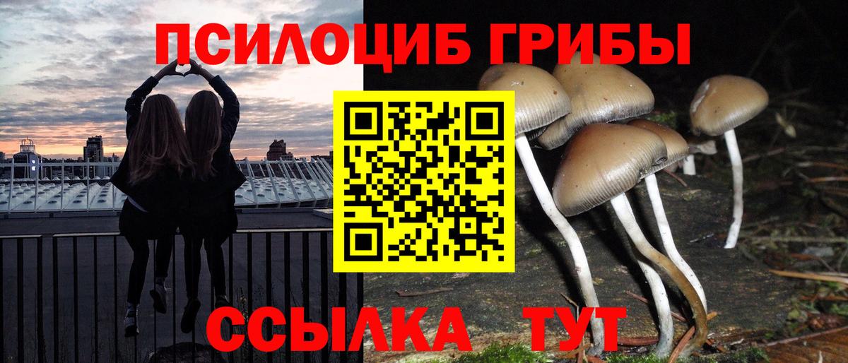 Псилоцибиновые грибы GOLDEN TEACHER  Псилоцибиновые грибы мицелий  Вход с VPN  Нефтеюганск 